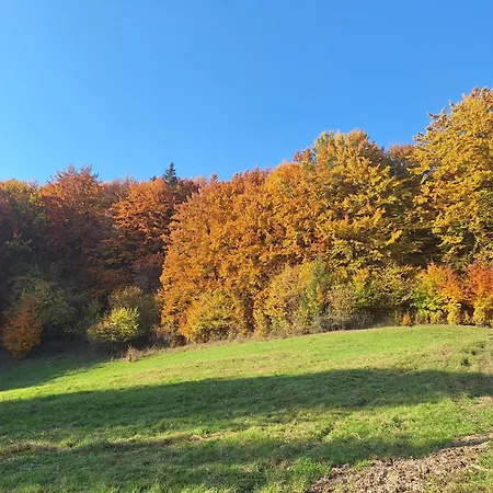 Slovenska Koliba