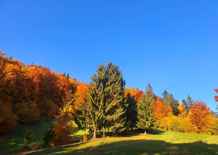 Slovenska Koliba * Jasenie